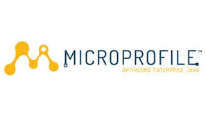 MicroProfile